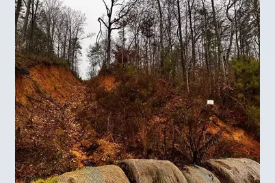 000 Talona Road, Talking Rock, GA 30175 - Photo 4