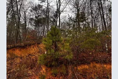 000 Talona Road, Talking Rock, GA 30175 - Photo 8