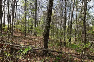 3640 Silver Leaf Ln SW, Marietta, GA 30008 - Photo 34