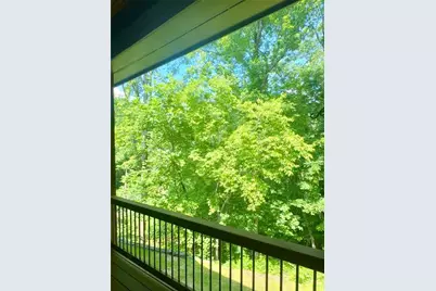 56 Amy Trammel Court, Dawsonville, GA 30534 - Photo 14