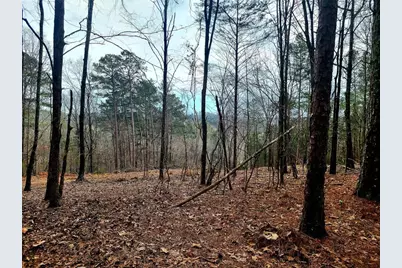 700 Gadsden Road SW, Cave Spring, GA 30124 - Photo 8