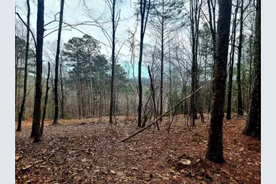 700 Gadsden Road SW, Cave Spring, GA 30124 - Photo 8