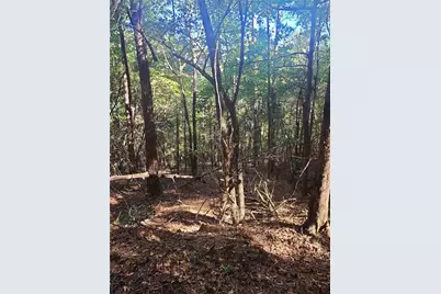 700 Gadsden Road SW, Cave Spring, GA 30124 - Photo 10