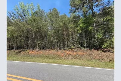 0 Panhandler Circle (2B), Maysville, GA 30558 - Photo 2