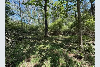 0 Panhandler Circle (2B), Maysville, GA 30558 - Photo 6