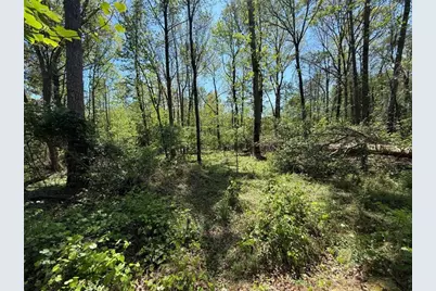 0 Panhandler Circle (2B), Maysville, GA 30558 - Photo 4