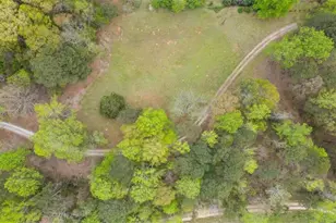 301 Hwy 5 E, Roopville, GA 30170 - Photo 60