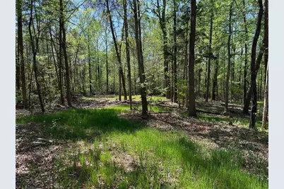 0 Panhandler Circle (2C), Maysville, GA 30558 - Photo 4