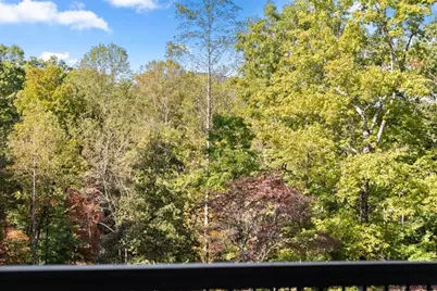 2123 Goat Neck Road, Cleveland, GA 30528 - Photo 50