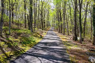 6795 Dawg Rdg, Dawsonville, GA 30534 - Photo 64