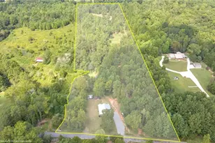 385 Amy's Rd, Clarkesville, GA 30523 - Photo 2