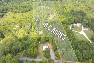 385 Amy's Rd, Clarkesville, GA 30523 - Photo 4