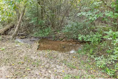 385 Amys Road, Clarkesville, GA 30523 - Photo 46