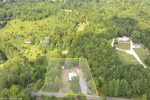 385 Amy's Rd, Clarkesville, GA 30523 - Photo 48