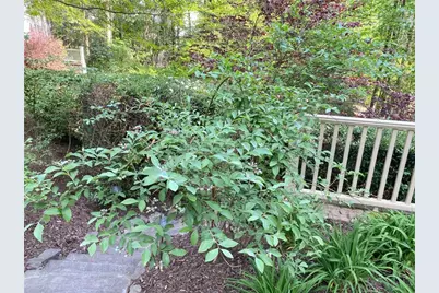 2880 Parkview Pass SE, Smyrna, GA 30080 - Photo 60