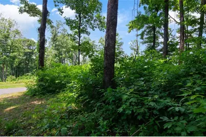 Lot 56 High Summit Drive, Talking Rock, GA 30175 - Photo 10