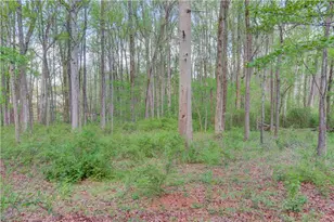 925 Nature Trail, Bethlehem, GA 30620 - Photo 38