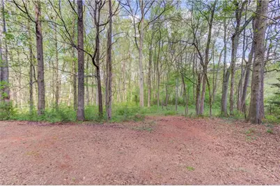 925 Nature Trail, Bethlehem, GA 30620 - Photo 36