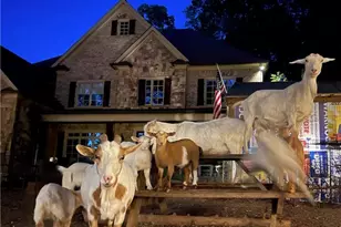 3809 Wieuca Rd NE, Atlanta, GA 30342 - Photo 60