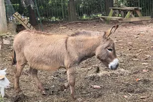 3809 Wieuca Rd NE, Atlanta, GA 30342 - Photo 56