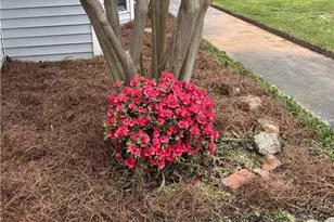 1000 Fox Valley Trail, Stone Mountain, GA 30088 - Photo 2