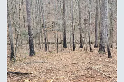 0000 Tippens Road, Canton, GA 30114 - Photo 16