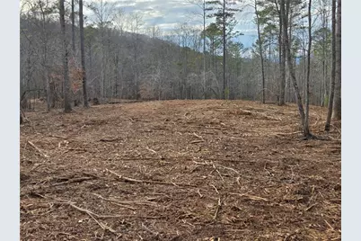 0000 Tippens Road, Canton, GA 30114 - Photo 1