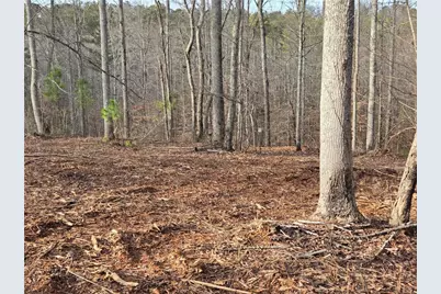 0000 Tippens Road, Canton, GA 30114 - Photo 18