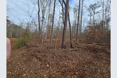 0000 Tippens Road, Canton, GA 30114 - Photo 12