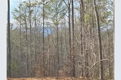 0000 Tippens Road, Canton, GA 30114 - Photo 20