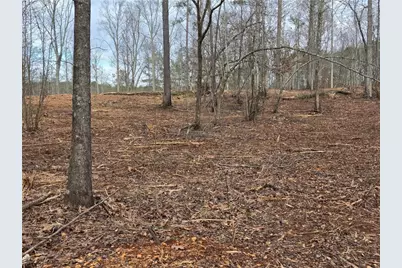 0000 Tippens Road, Canton, GA 30114 - Photo 14