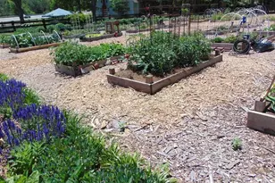 108 English Barn Wy, Hiram, GA 30141 - Photo 36