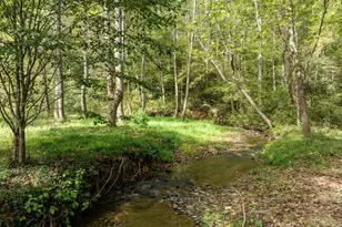 142 Red Oak Trl, Ellijay, GA 30540 - Photo 60