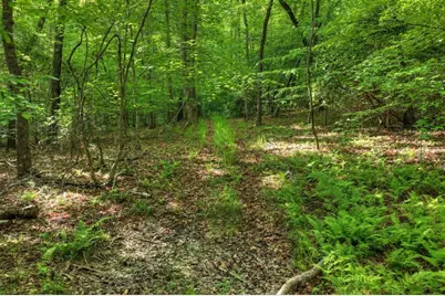 8.52 Ac McNelley Road, Morganton, GA 30560 - Photo 26