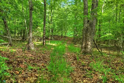 8.52 Ac McNelley Road, Morganton, GA 30560 - Photo 28