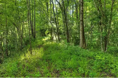 8.52 Ac McNelley Road, Morganton, GA 30560 - Photo 22