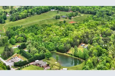 8.52 Ac McNelley Road, Morganton, GA 30560 - Photo 6