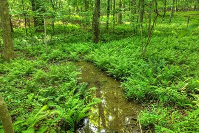 8.52 Ac McNelley Road, Morganton, GA 30560 - Photo 32