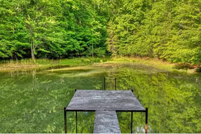 8.52 Ac McNelley Road, Morganton, GA 30560 - Photo 4