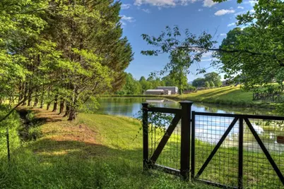 8.52 Ac McNelley Road, Morganton, GA 30560 - Photo 10