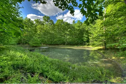 8.52 Ac McNelley Road, Morganton, GA 30560 - Photo 2