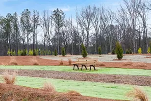 340 Sound Cir, Stockbridge, GA 30281 - Photo 10