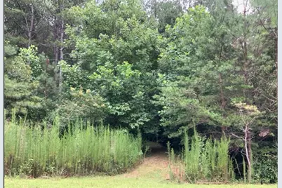 Lot 37 Eastside Drive, Ellijay, GA 30536 - Photo 1