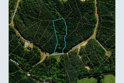Lot 37 Eastside Drive, Ellijay, GA 30536 - Photo 2