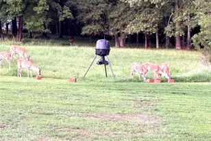 695 Cooper Rd, Social Circle, GA 30025 - Photo 42