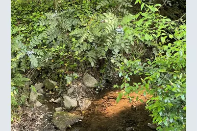 3135 Laura Lane, Lithia Springs, GA 30122 - Photo 54