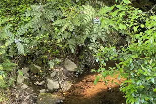 3135 Laura Ln, Lithia Springs, GA 30122 - Photo 54