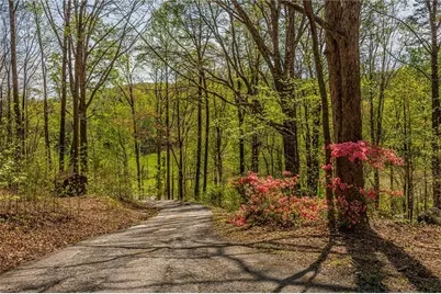 2992 Camp Wahsega Road, Dahlonega, GA 30533 - Photo 8