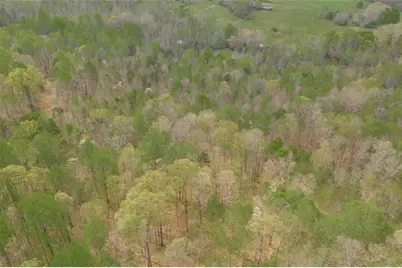 743 Blacks Creek Church Road, Danielsville, GA 30633 - Photo 16