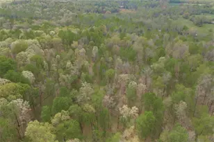 743 Blacks Creek Church Rd, Danielsville, GA 30633 - Photo 14